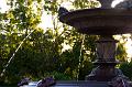 Fountain, evening light, Adelaide Botanic Gardens IMGP8857